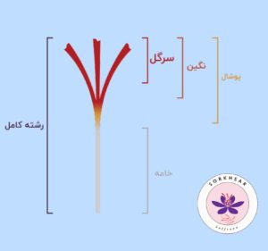 قیمت زعفران نگین