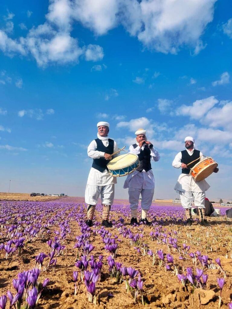 زعفران و درمان افسردگی