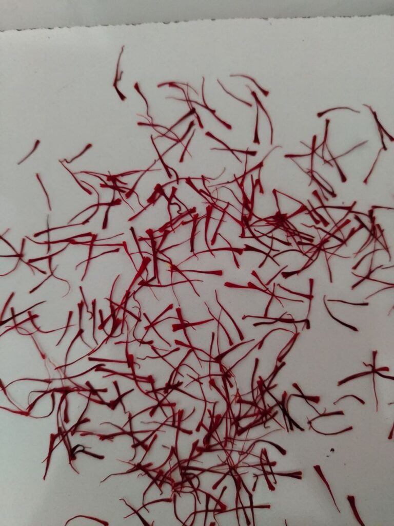 خرید زعفران سرگل
