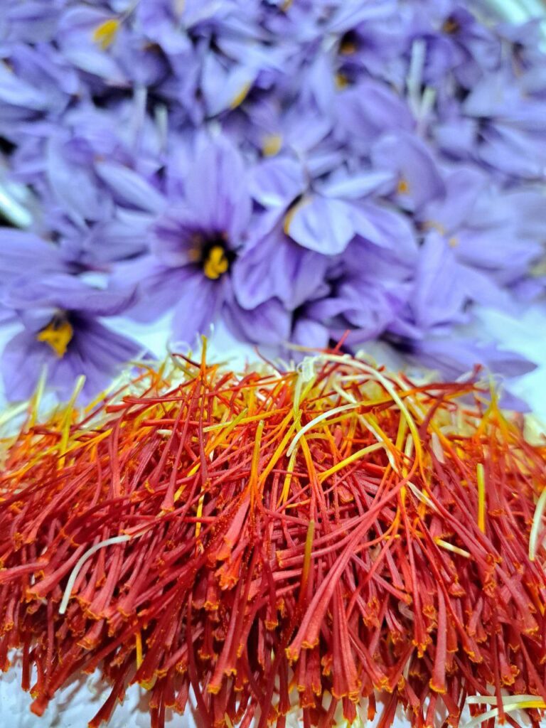 خرید زعفران پوشال ایرانی